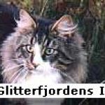 IPS  /GLITT/ GLITTERFJORDENS